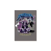 「ザ・リーサルウェポンズ×獣神サンダー・ライガー “80's METAL”　ステッカー」