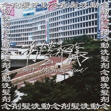 PK shampoo「市營葬儀」ジャケット