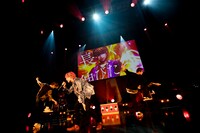 あほの坂田。「AHO NO SAKATA LIVE TOUR 2021 -Redo Parade-」の様子。（撮影：堀卓朗）