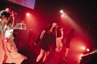 ヤマコマロ（KAQRIYOTERROR）