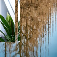 butasaku「picture」配信ジャケット