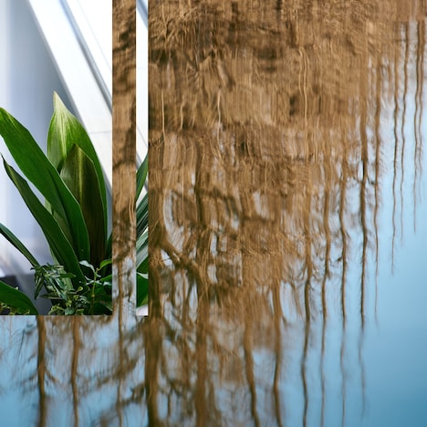 butasaku「picture」配信ジャケット