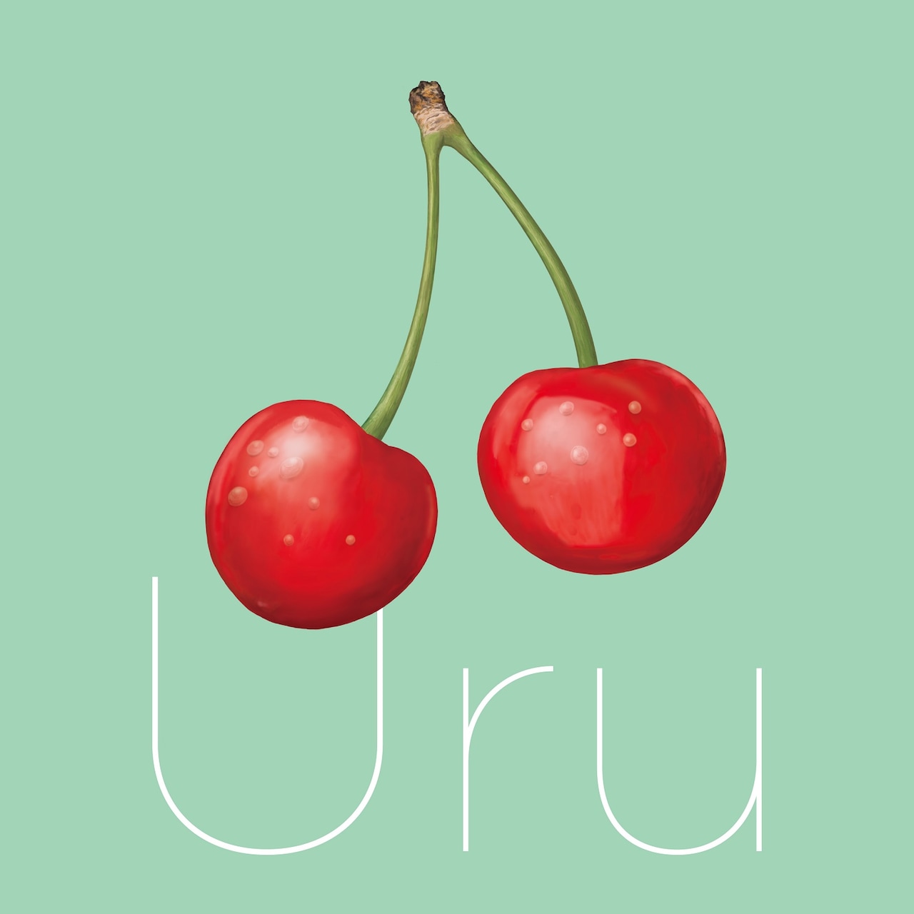 邦楽 Uru ALBUM｜Uru Official Website & Official Fanclub 「SABACAN」