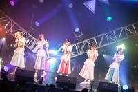 豆柴の大群（Photo by sotobayashi kenta）