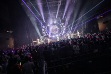 豆柴の大群のライブの様子。（Photo by sotobayashi kenta）