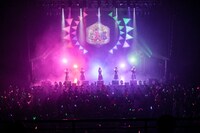 豆柴の大群のライブの様子。（Photo by sotobayashi kenta）