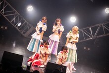 豆柴の大群（Photo by sotobayashi kenta）