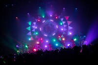 豆柴の大群のライブの様子。（Photo by sotobayashi kenta）