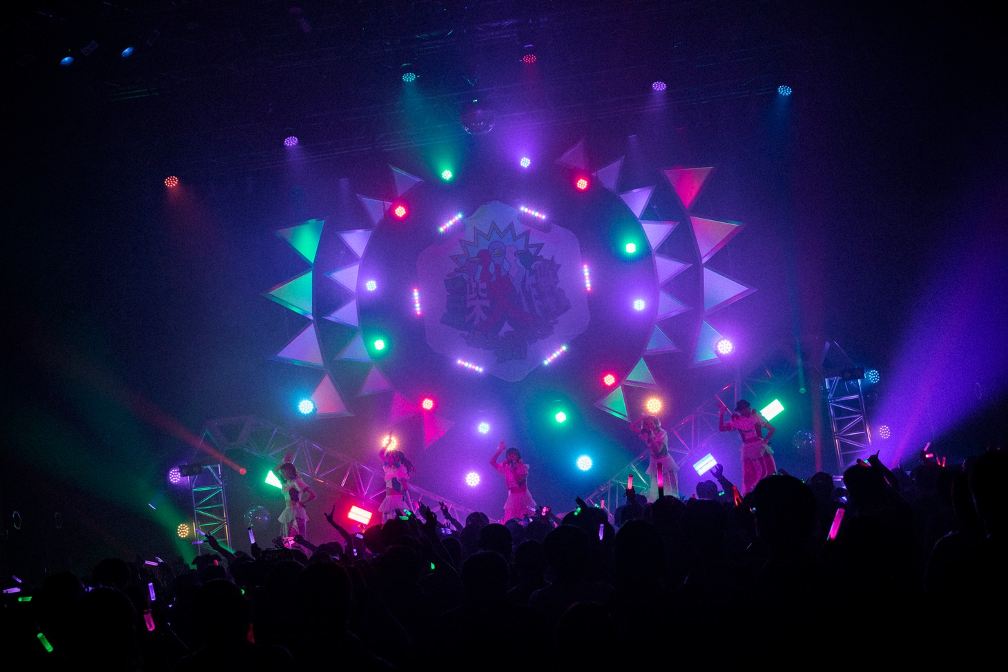 豆柴の大群のライブの様子。（Photo by sotobayashi kenta）