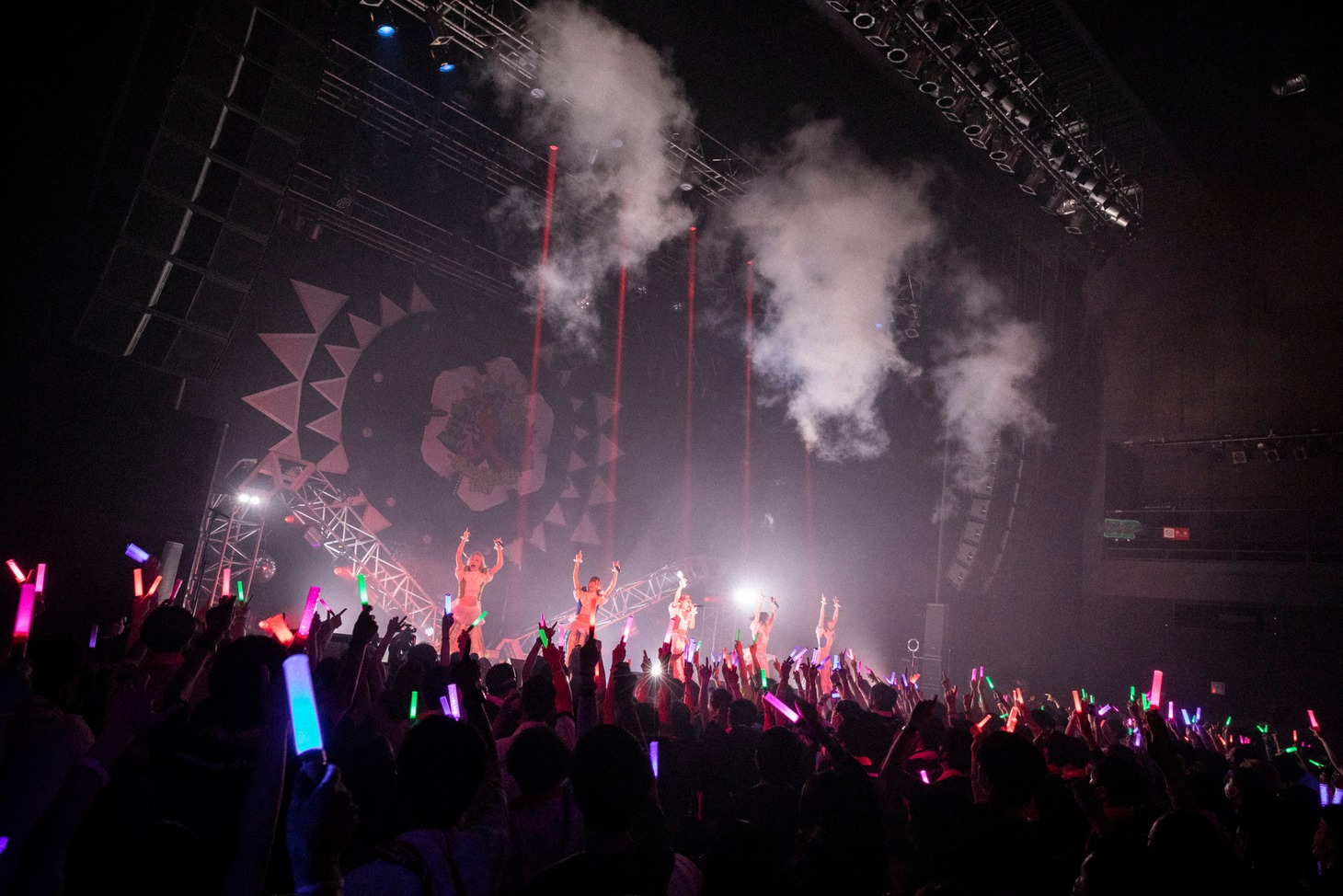 豆柴の大群のライブの様子。（Photo by sotobayashi kenta）