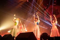 豆柴の大群（Photo by sotobayashi kenta）