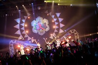 豆柴の大群（Photo by sotobayashi kenta）