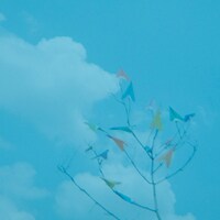 リーガルリリー「風にとどけ」配信ジャケット