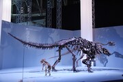 「Sony presents DinoScience 恐竜科学博 ～ララミディア大陸の恐竜物語～」の様子。