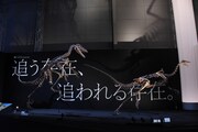 「Sony presents DinoScience 恐竜科学博 ～ララミディア大陸の恐竜物語～」の様子。