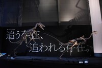 「Sony presents DinoScience 恐竜科学博 ～ララミディア大陸の恐竜物語～」の様子。