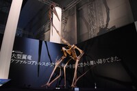 「Sony presents DinoScience 恐竜科学博 ～ララミディア大陸の恐竜物語～」の様子。