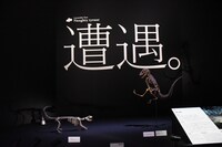 「Sony presents DinoScience 恐竜科学博 ～ララミディア大陸の恐竜物語～」の様子。