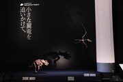 「Sony presents DinoScience 恐竜科学博 ～ララミディア大陸の恐竜物語～」の様子。
