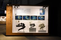 「Sony presents DinoScience 恐竜科学博 ～ララミディア大陸の恐竜物語～」の様子。