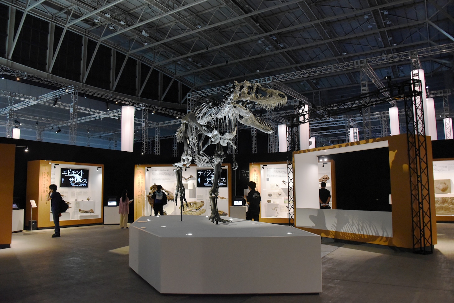 「Sony presents DinoScience 恐竜科学博 ～ララミディア大陸の恐竜物語～」の様子。
