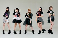 STRAY SHEEP CLAYMORE