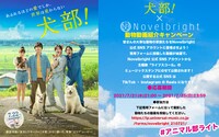 映画「犬部！」× Novelbright 動物動画紹介キャンペーン告知ビジュアル