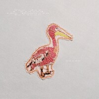 みらん「モモイロペリカンと遊んだ日」ジャケット