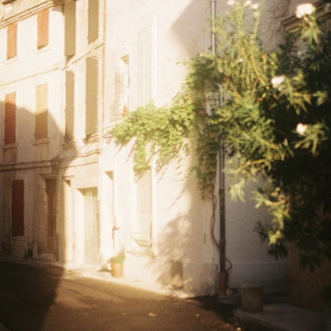 優河「夏の窓」配信ジャケット