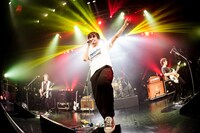 the pillows（撮影：橋本塁）