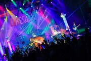 ORESAMA「ORESAMA ONEMAN LIVE "SUMMER NIGHT PARTY"」の様子。（撮影：江藤はんな［SHERPA+］）