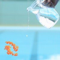 miida「melt night」配信ジャケット