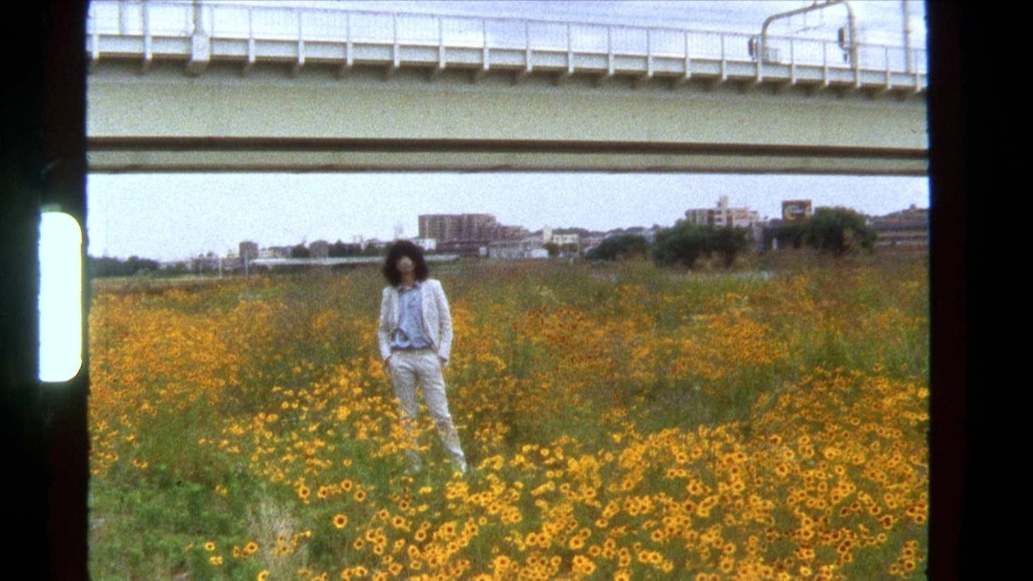 坂本慎太郎「ツバメの季節に」MVより。