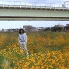 坂本慎太郎「ツバメの季節に」MVで昼間の東京を徘徊