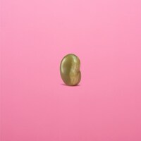 「Towako's Diary - from “大豆田とわ子と三人の元夫”［and more］」ジャケット