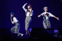 美術部 Art Performance Unit trico dolls