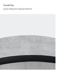 環ROYの「憧れ」を角銅真実がリミックス