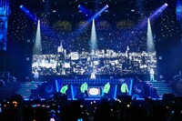 シブヤ・ディビジョン“Fling Posse”