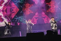 ナゴヤ・ディビジョン“Bad Ass Temple”