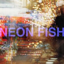 土岐麻子「NEON FISH」配信ジャケット