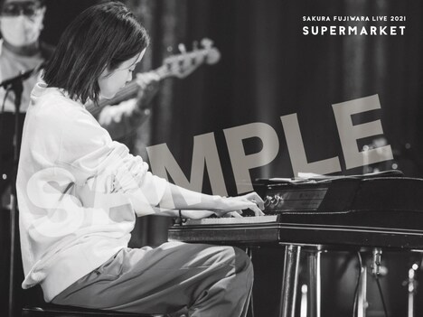 藤原さくら デジタルフォトブックのサンプル画像。