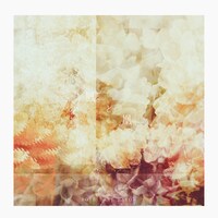 ROTH BART BARON「鳳と凰」配信ジャケット