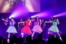 TEAM SHACHI（撮影：笹森健一）