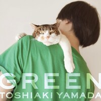 山田稔明「緑の時代」ジャケット