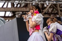 ミユキエンジェル（豆柴の大群）