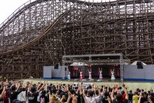 豆柴の大群のライブの様子。