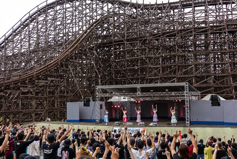 豆柴の大群のライブの様子。