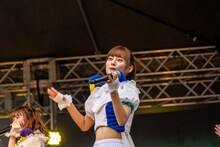 ナオ・オブ・ナオ（豆柴の大群）