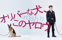 「オリバーな犬、（Gosh!!）このヤロウ」キービジュアル