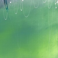 オオヤユウスケ「Photograph」配信ジャケット